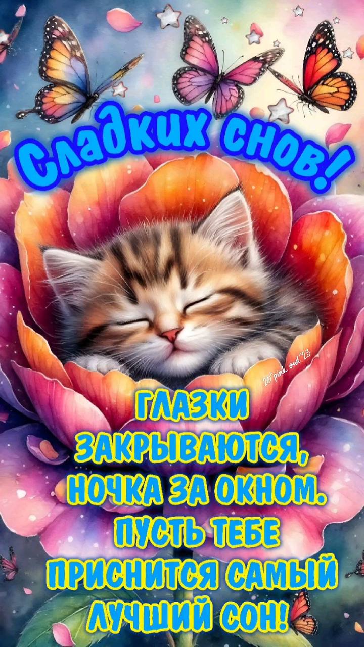 Открытка «Доброй ночи»: Сладких снов: милый котенок в цветке.