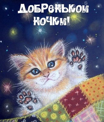Открытка «Доброй ночи»: Милый кот желает доброй ночи.