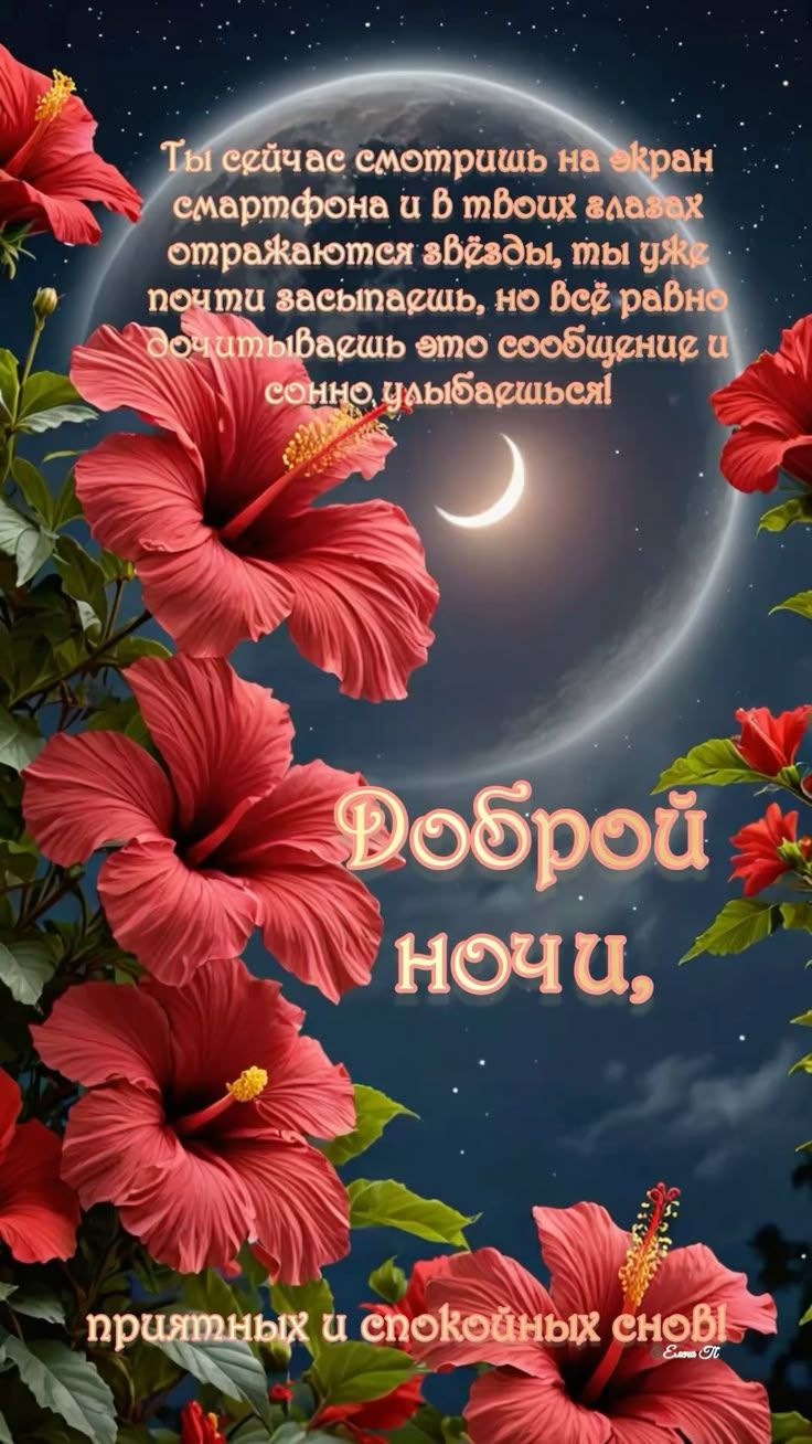 Открытка «Доброй ночи»: Доброй ночи: красивая открытка с цветами и луной. Тэги: проза