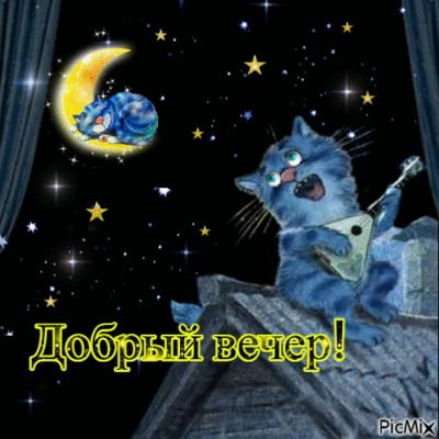 Открытка «Смешной»: Добрый вечер: Мультяшный кот с гитарой. Тэги: кот, гитара, мультяшка, природа, звезда, добрый веч…