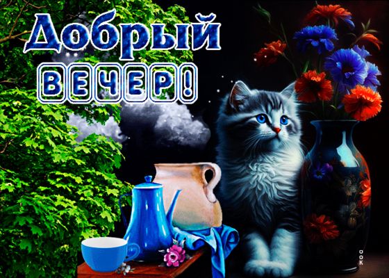Открытка «Добрый вечер и пожелания»: Добрый вечер: милый кот и букет полевых цветов. Тэги: Добрый вечер красивые…