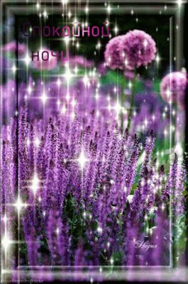 Открытка «Спокойной ночи»: «Спокойной ночи»: волшебные цветы и искрящиеся блестки. Тэги: Спокойной ночи, красивые…