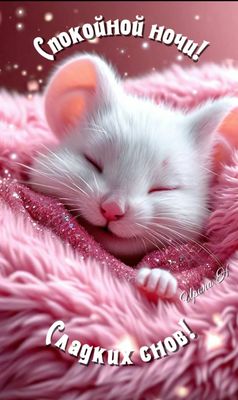 Открытка «Спокойной ночи»: Спокойной ночи: «Милый котенок» в розовом пледе. Тэги: Спокойной ночи, красивые, Спокойной…