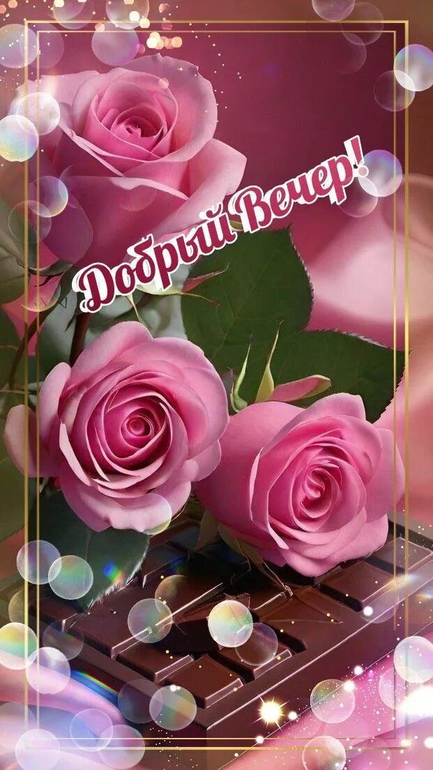 Открытка «Добрый вечер и пожелания»: Добрый вечер: нежные розы и шоколад. Тэги: Добрый вечер красивые, Доброго вечера…