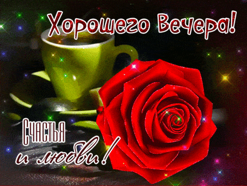 Открытка «Добрый вечер и пожелания»: Хорошего вечера: красивая открытка с красной розой. Тэги: Добрый вечер красивые…