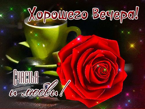 Открытка «Добрый вечер и пожелания»: Хорошего вечера: красивая открытка с красной розой. Тэги: Добрый вечер красивые…