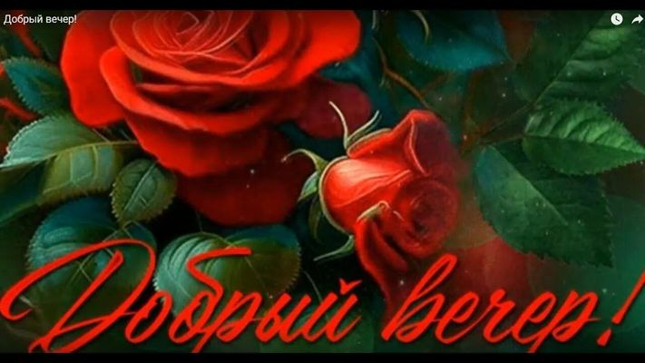 Открытка «Добрый вечер и пожелания»: Добрый вечер: «Ароматные красные розы для любимой». Тэги: Добрый вечер красивые…