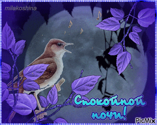 Открытка «Спокойной ночи»: Спокойной ночи: Поющая птичка под луной. Тэги: соловей, Спокойной ночи, красивые, Спокойно…