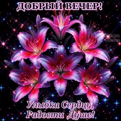 Открытка «Добрый вечер и пожелания»: Добрый вечер: лилии и радость душе. Тэги: Добрый вечер красивые, Добыий вечер…