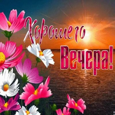 Открытка «Добрый вечер и пожелания»: Пожелание хорошего вечера с цветами на закате. Тэги: Добрый вечер красивые…