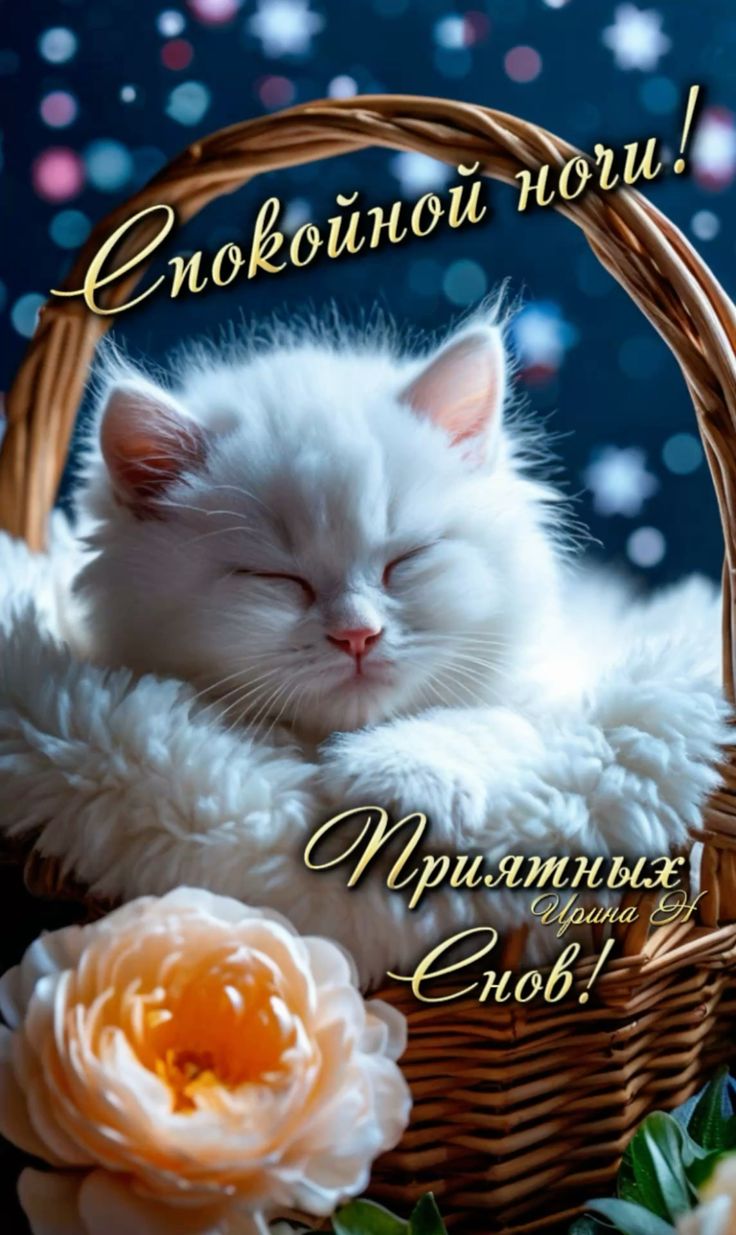 Открытка «Спокойной ночи»: Спокойной ночи: милый спящий кот в цветочном декоре. Тэги: Спокойной ночи, красивые…