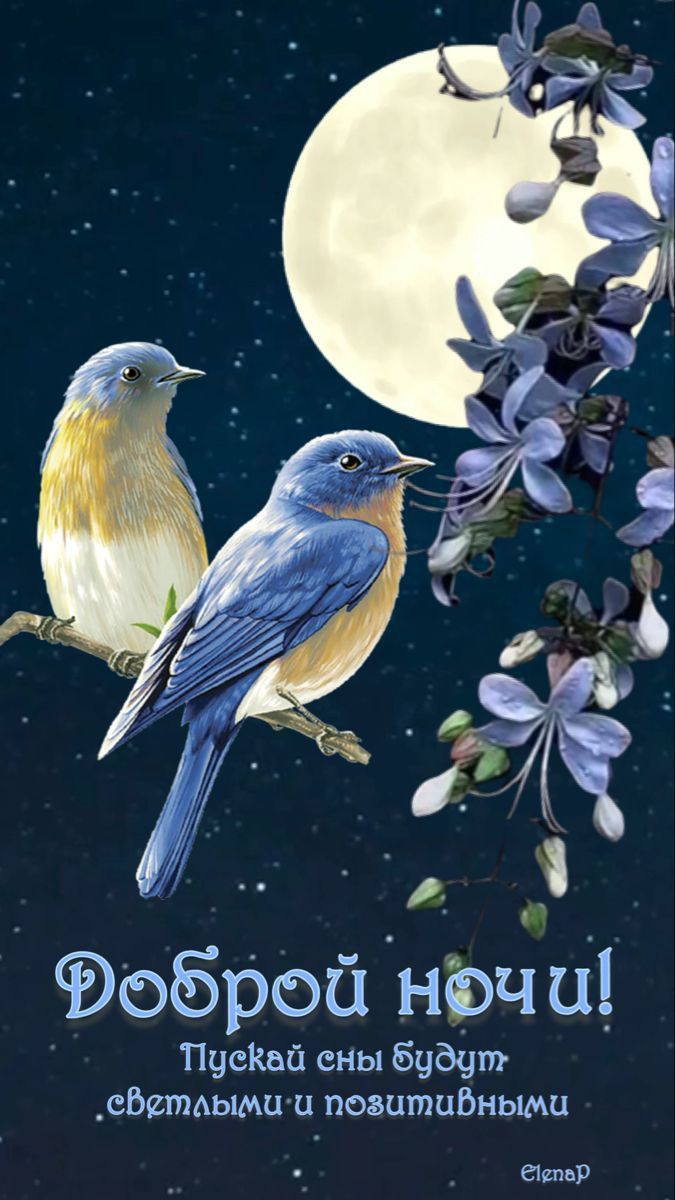 Открытка «Доброй ночи»: Красивая открытка доброй ночи с птицами под луной.