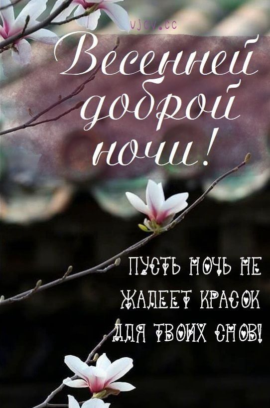 Открытка «Доброй ночи»: Весенней доброй ночи: пожелание с цветами магнолии. Тэги: пожелание, надпись, красивый, нежный…