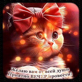 Открытка «Добрый вечер и пожелания»: Добрый вечер: «Приятно ВЕЧЕР провести» с милым котом. Тэги: Добрый вечер красивые…