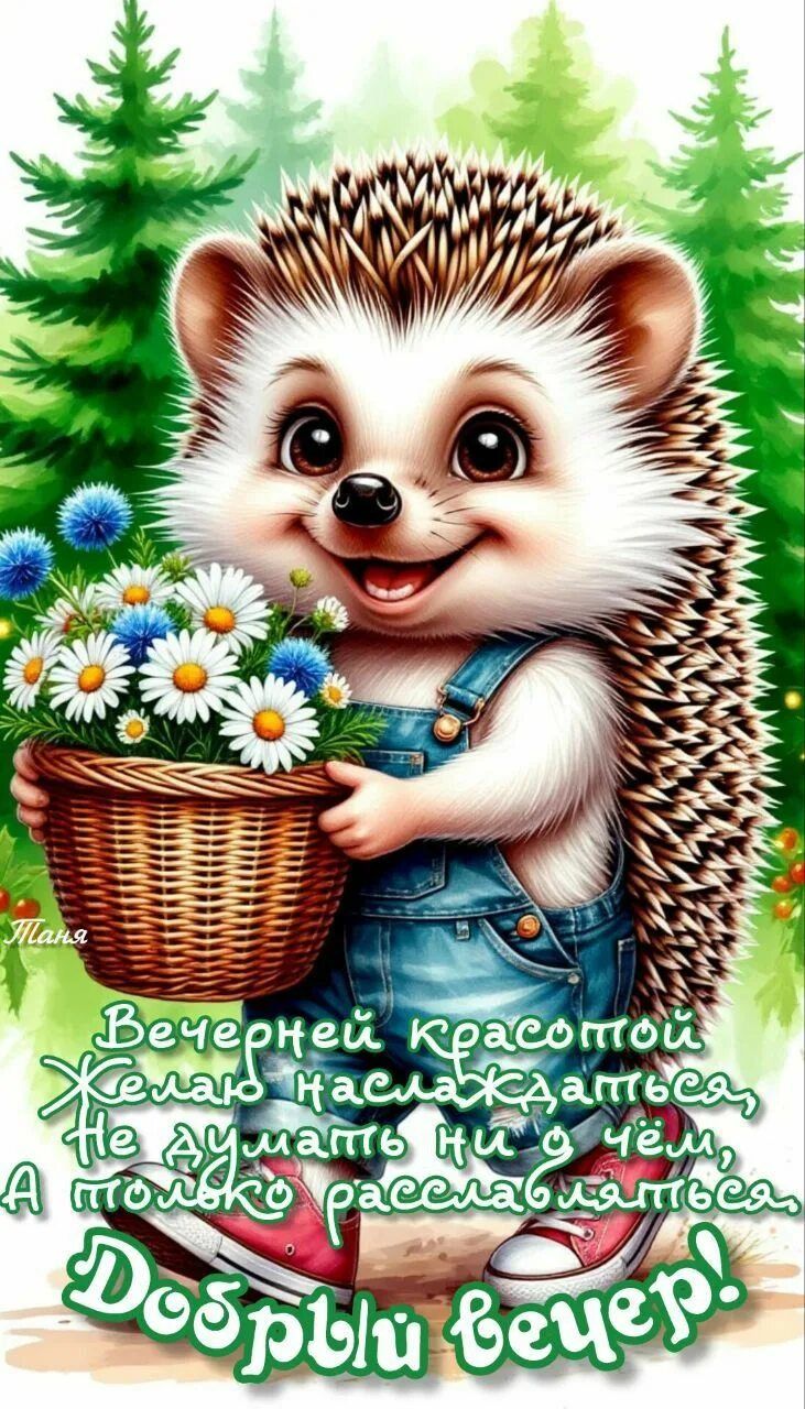 Открытка «Добрый вечер и пожелания»: Добрый вечер: милый ежик с ромашками в лесу. Тэги: Доброго, прекрасного вечера…