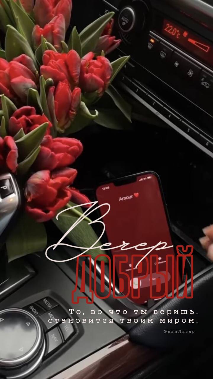 Открытка «Проза»: Добрый вечер: «Тюльпаны в авто» и мудрая цитата. Тэги: философский, Добрый вечер и пожелания…