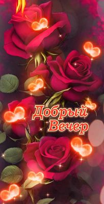 Открытка «Добрый вечер и пожелания»: Добрый вечер: Красивая открытка с розами и сердцами. Тэги: Добрый вечер красивые…