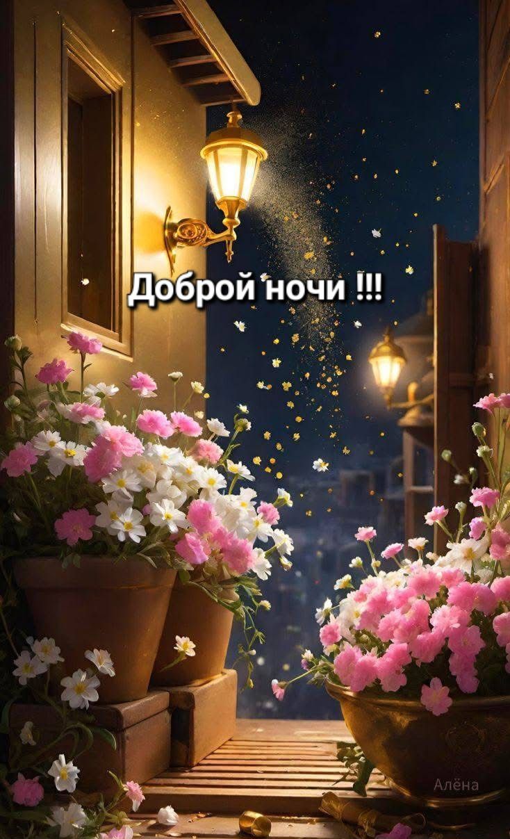 Открытка «Доброй ночи»: Доброй ночи: Сказочный вечер с цветами. Тэги: надпись, красивый, цветок, звезда, фонарь…