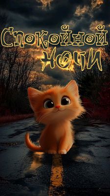 Открытка «Спокойной ночи»: Открытка спокойной ночи с рыжим котенком. Тэги: мокрый, Спокойной ночи, красивые, Спокойно…