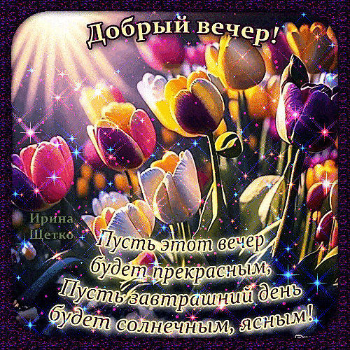 Открытка «Добрый вечер и пожелания»: Добрый вечер: Пожелание с яркими тюльпанами. Тэги: Добрый вечер красивые, Добыий…