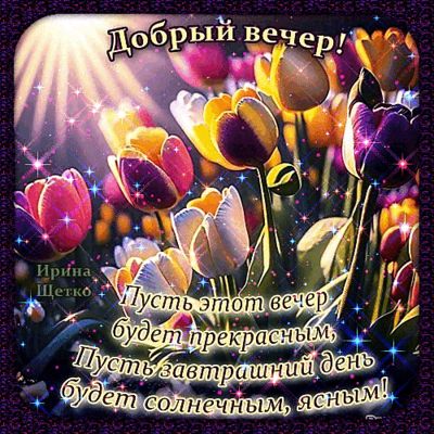 Открытка «Добрый вечер и пожелания»: Добрый вечер: Пожелание с яркими тюльпанами. Тэги: Добрый вечер красивые, Добыий…