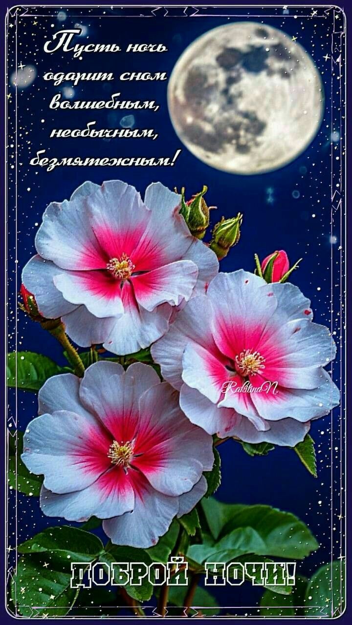 Открытка «Доброй ночи»: Доброй ночи: красивые цветы при луне.