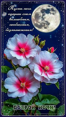Открытка «Доброй ночи»: Доброй ночи: красивые цветы при луне.