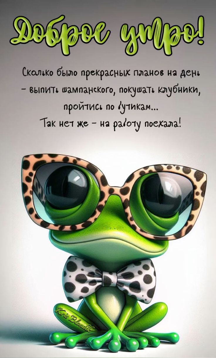 Открытка «С добрым утром»: Доброе утро: когда роскошные планы отменяет работа. Тэги: животное, пожелание, юмор, утро…