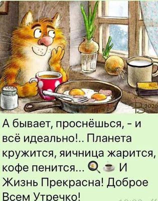 Открытка «С добрым утром»: Идеальное утро с котом: кофе и яичница ждут!. Тэги: С добрым утром, для поднятия настроени…