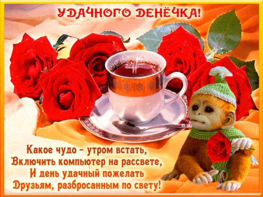 Открытка «С добрым утром»: Доброе утро: розы, чай и добрые пожелания. Тэги: животное, пожелание, позитивная, шапка…