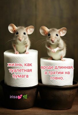 Открытка «С добрым утром»: С добрым утром! Мышиная мудрость о жизни. Тэги: животное, пожелание, позитивная, юмор…