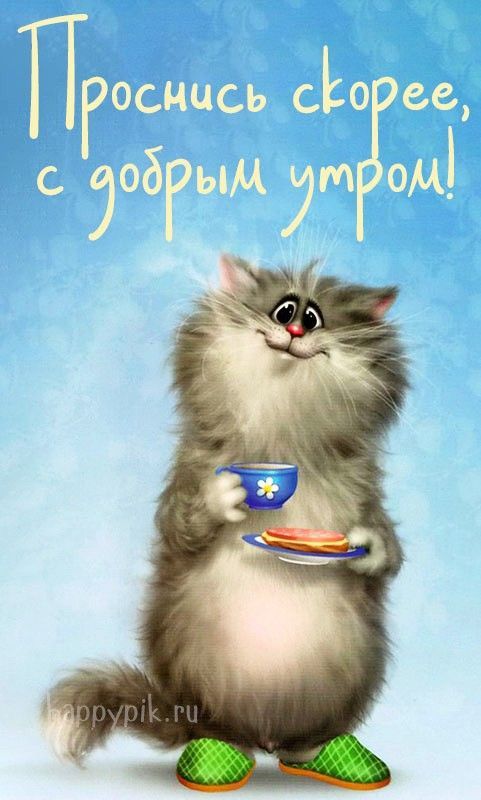 Открытка «С добрым утром»: Доброе утро от пушистого котика с завтраком. Тэги: кот, животное, пожелание, позитивная…
