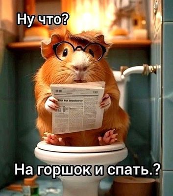 Открытка «С добрым утром»: С добрым утром! Или еще на горшок и спать?. Тэги: животное, пожелание, позитивная, юмор…