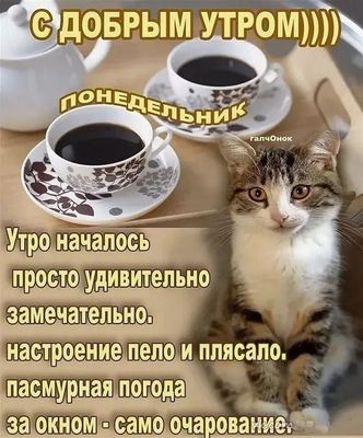 Открытка «С добрым утром»: С добрым утром: кофе, кот и отличное настроение!. Тэги: кот, животное, пожелание, утро…
