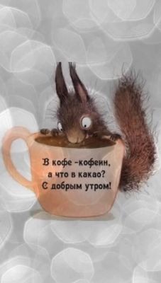 Открытка «С добрым утром»: С добрым утром: кофеин в кофе, а что в какао?. Тэги: животное, пожелание, юмор, друг…