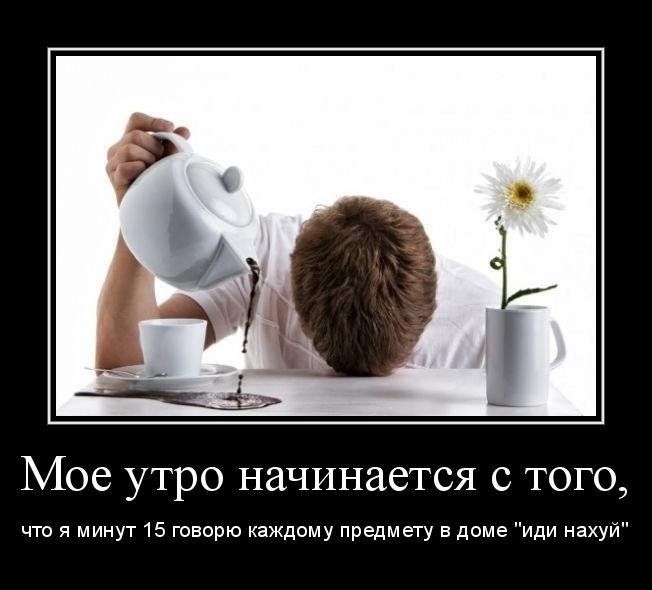 Открытка «С добрым утром»: Мое утро: когда утро не задалось. Тэги: пожелание, позитивная, юмор, прикольная, смешная…