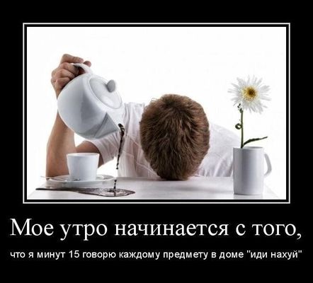 Открытка «С добрым утром»: Мое утро: когда утро не задалось. Тэги: пожелание, позитивная, юмор, прикольная, смешная…