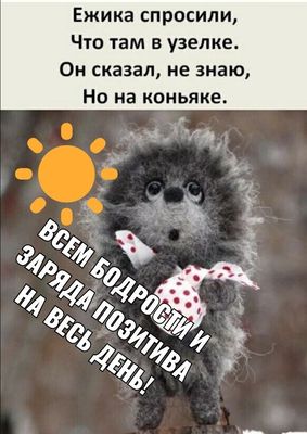 Открытка «С добрым утром»: С добрым утром! Позитив и коньяк от ежика.. Тэги: Добрый день, С добрым утром, для подняти…