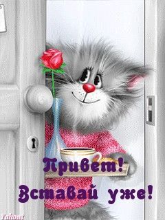 Открытка «С добрым утром»: Привет от кота: Вставай уже, доброе утро!. Тэги: хорошего дня, кот, животное, пожелание…