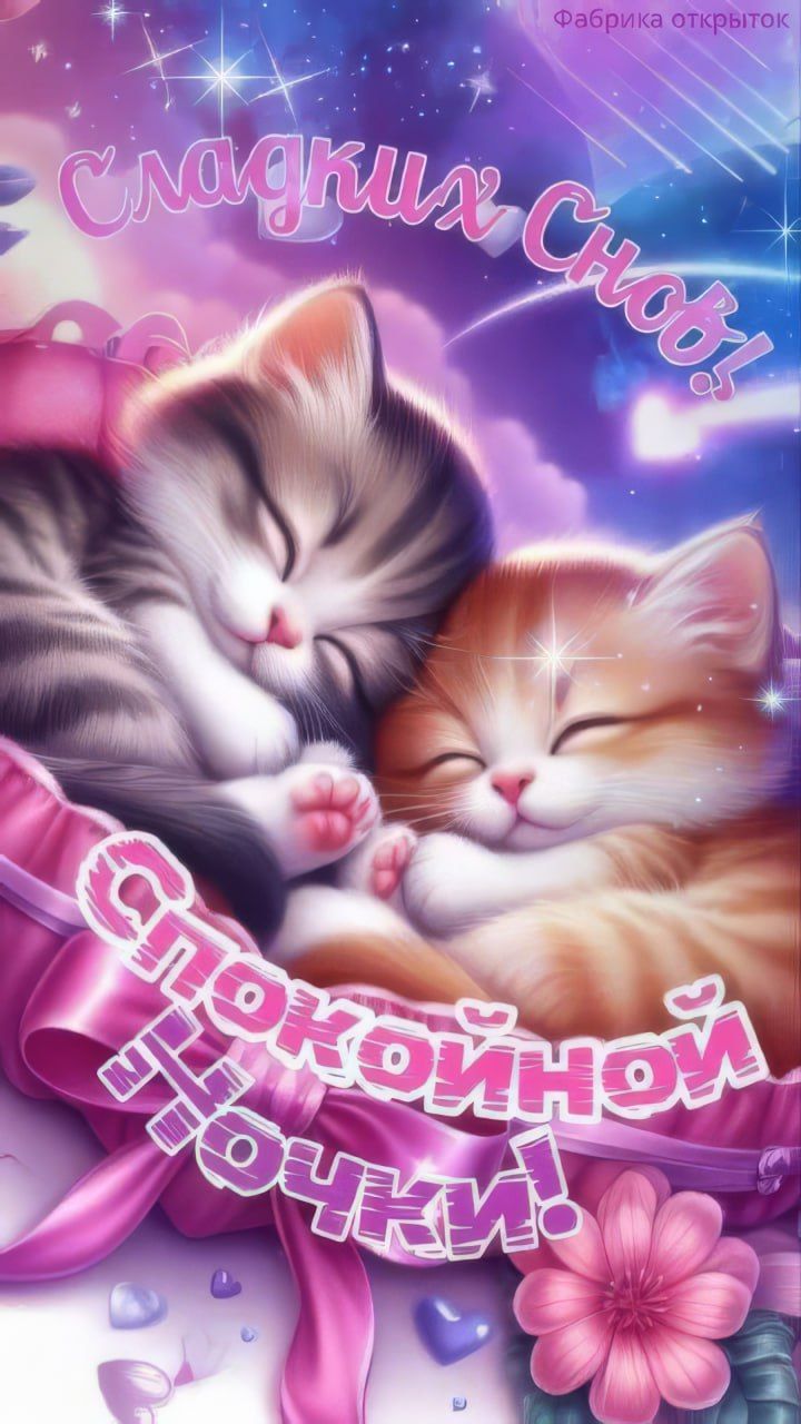 Открытка «Спокойной ночи»: Красивая открытка «Спокойной ночи» с котятами. Тэги: Спокойной ночи, красивые, Спокойной н…
