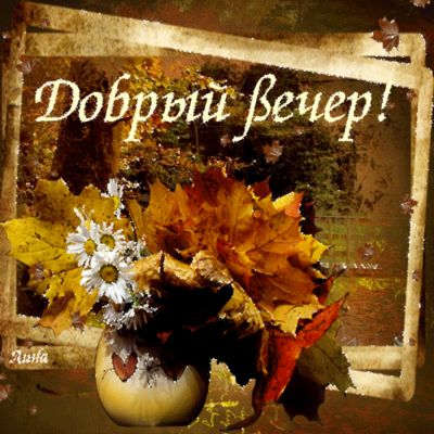 Открытка «Добрый вечер и пожелания»: Добрый вечер: Осенний букет с ромашками. Тэги: Добрый вечер красивые, Добыий веч…
