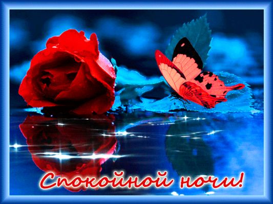 Открытка «Спокойной ночи»: Спокойной ночи: красная роза и бабочка. Тэги: Спокойной ночи, красивые, Спокойной ночи…