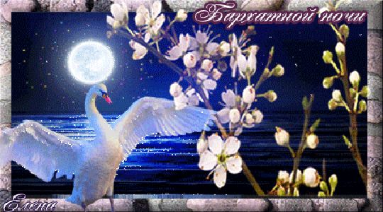 Открытка «Доброй ночи»: Доброй ночи: «Лебедь и цветы под мерцающей луной». Тэги: елена