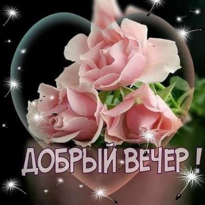 Открытка «Добрый вечер и пожелания»: Добрый вечер: нежные розы в форме сердца. Тэги: Добрый вечер красивые, Добрый ве…
