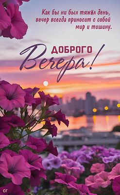 Открытка «Добрый вечер и пожелания»: Добрый вечер: Красивый закат и цветы петунии. Тэги: Добрый вечер красивые…