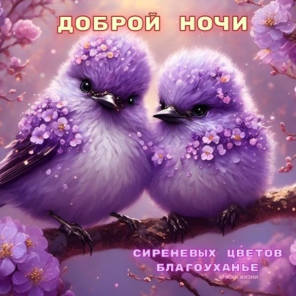 Открытка «Доброй ночи»: Доброй ночи: милые сиреневые птички. Тэги: Спокойной ночи, пожелание, милый, птица, красивый…