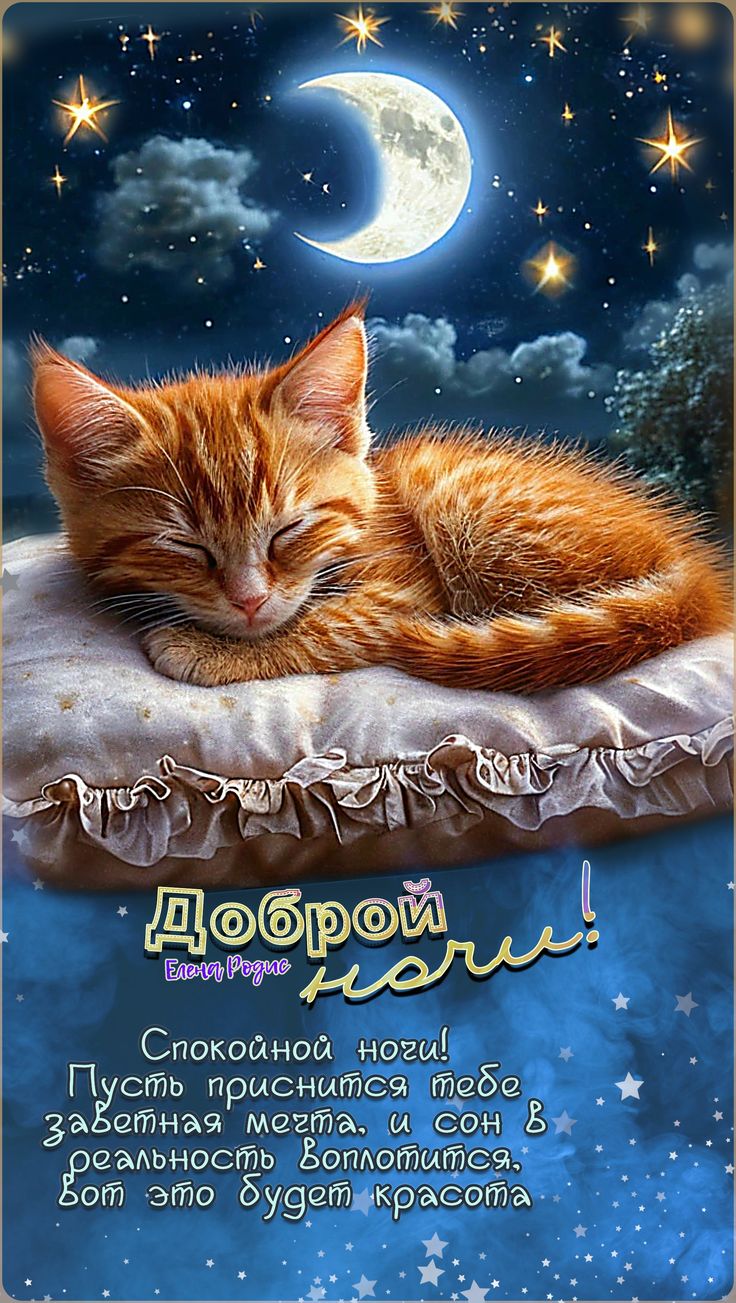 Открытка «Доброй ночи»: Доброй ночи: Милый рыжий кот спит на подушке.