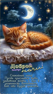 Открытка «Доброй ночи»: Доброй ночи: Милый рыжий кот спит на подушке.
