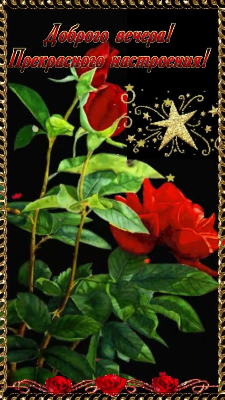 Открытка «Добрый вечер и пожелания»: Добрый вечер: пожелание с красными розами для поднятия настроения. Тэги: Добрый…