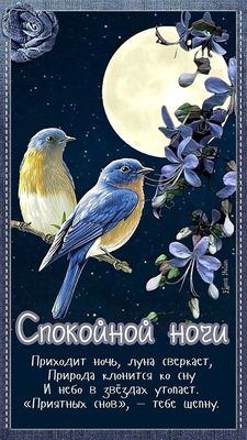 Открытка «Спокойной ночи»: Спокойной ночи: красивое пожелание с птицами и луной. Тэги: Спокойной ночи, красивые…